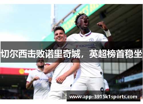切尔西击败诺里奇城，英超榜首稳坐